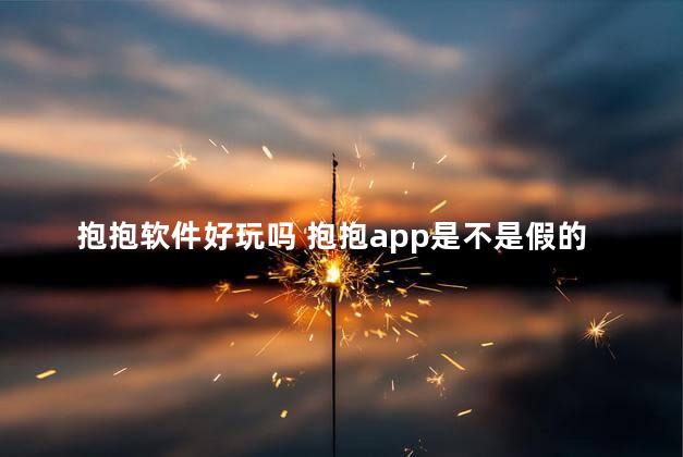 抱抱软件好玩吗 抱抱app是不是假的